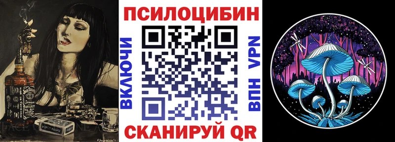 где купить наркоту  блэк спрут ССЫЛКА  Галлюциногенные грибы Cubensis  Лангепас 
